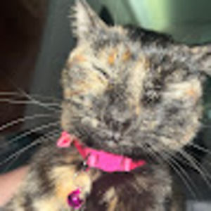 Meet your Posher, Nate